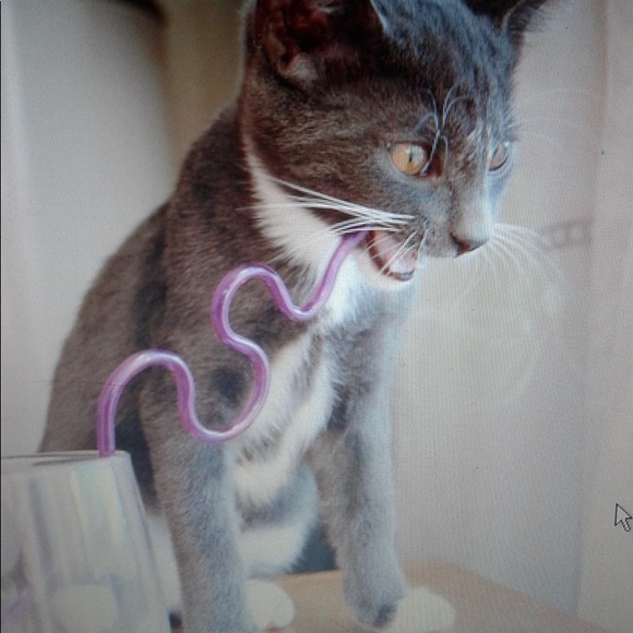 Happy poshing ❤️ - Picture 13 of 16